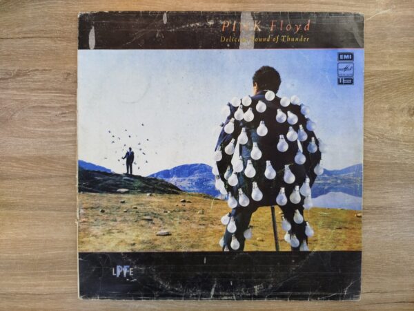 Pink Floyd - Delicate Sound Of Thunder (2 LP, USSR) - Image 2