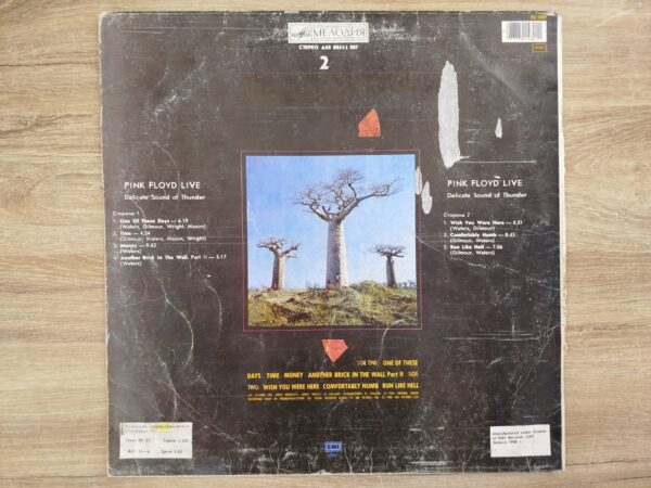 Pink Floyd - Delicate Sound Of Thunder (2 LP, USSR) - Image 3