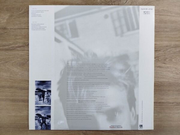 Sting - The Dream of the blue turtles - Image 3