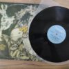 Kate Bush - Never For Ever - Image 4