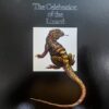 The Doors – Waiting For The Sun - Image 4