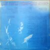 Gloria Gaynor - Love Tracks - Image 3