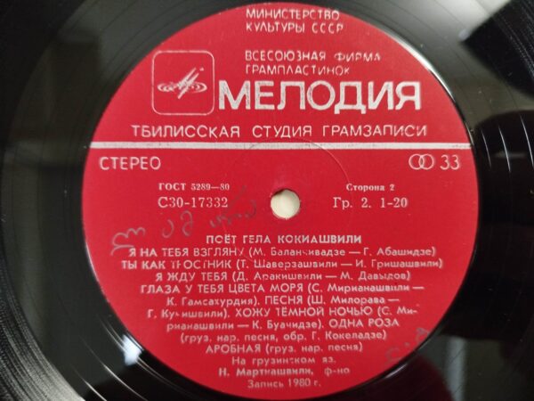 გელა ქოქიაშვილი - მღერის გელა ქოქიაშვილი - Image 6