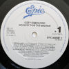 Ozzy Osbourne - No Rest For The Wicked - Image 4