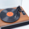 TT 20 (Audio Technica Cartridge) ფირსაკრავი - Image 3
