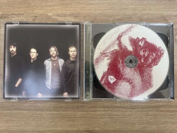 Foo Fighters - In Your Honour (CD) - Image 4