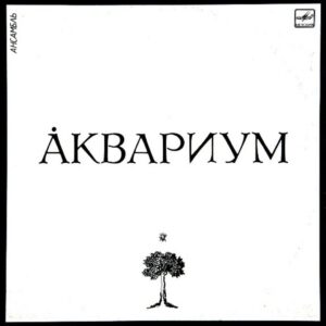 Aquarium - Aquarium