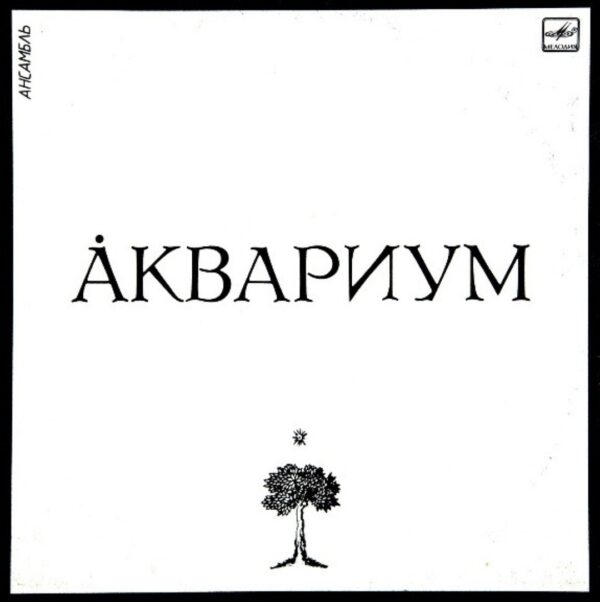 Aquarium - Aquarium