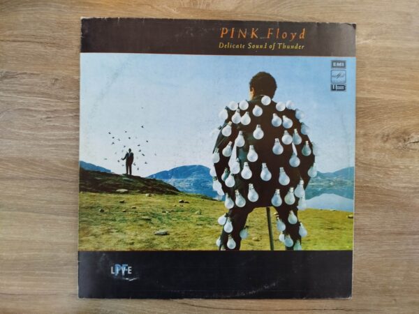 Pink Floyd - Delicate Sound Of Thunder (Vol 2) - Image 2