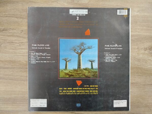 Pink Floyd - Delicate Sound Of Thunder (Vol 2) - Image 3