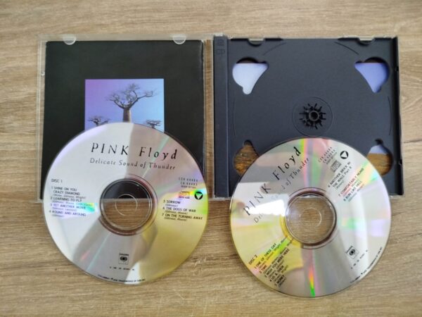 Pink Floyd - Delicate Sound Of Thunder (CD) - Image 4