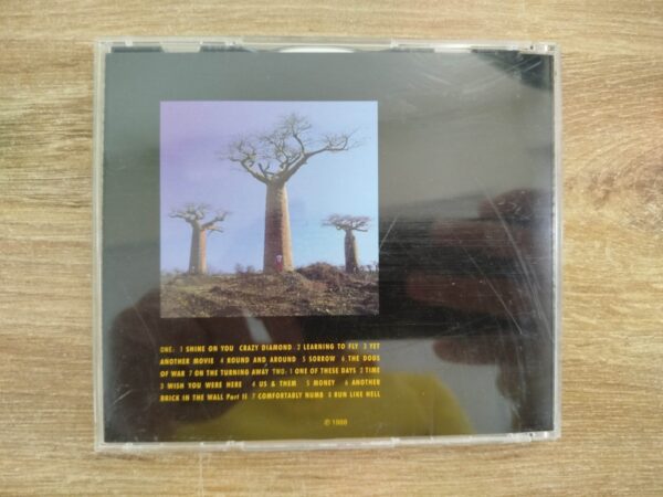 Pink Floyd - Delicate Sound Of Thunder (CD) - Image 3