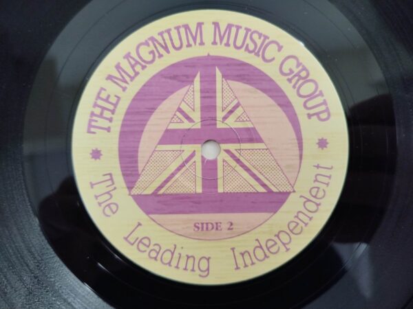 Jimi Hendrix - Free Spirit - Image 5