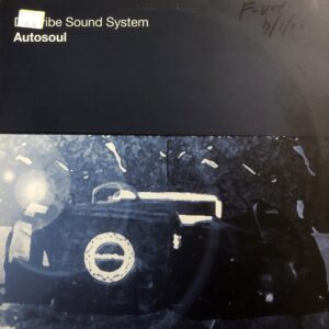 Dubtribe Sound System - Autosoul (House)