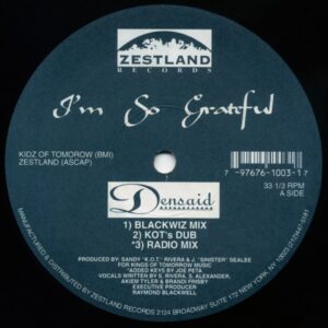 Densaid - I'm So Grateful / K.O.T. Anthem (Remix) (House, Garage House)