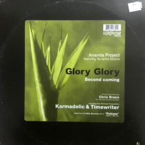Ananda Project Featuring Terrance Downs - Glory Glory (Second Coming) (House, Tech House, Progressive House)