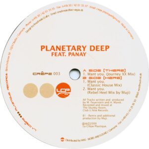 Planetary Deep Feat. Panay - I Want You (House, UK Garage)