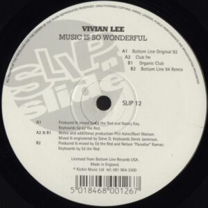Vivian Lee - Music Is So Wonderful (Deep House, Garage House, House)