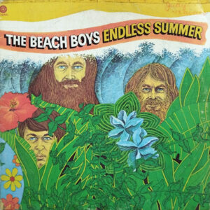 The Beach Boys - Endless Summer
