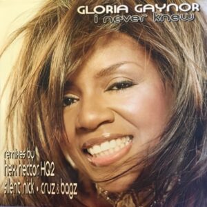Gloria Gaynor - I Never Knew (2LP, House)