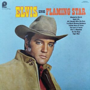Elvis Presley - Elvis Sings "Flaming Star"