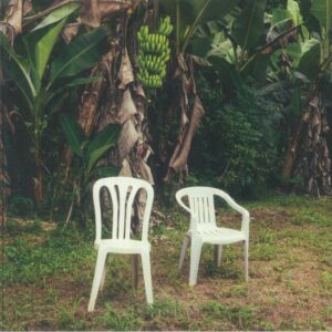 Bad Bunny - Debi Tirar Mas Fotos (Sealed)