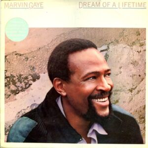 Marvin Gaye - Dream Of A Lifetime